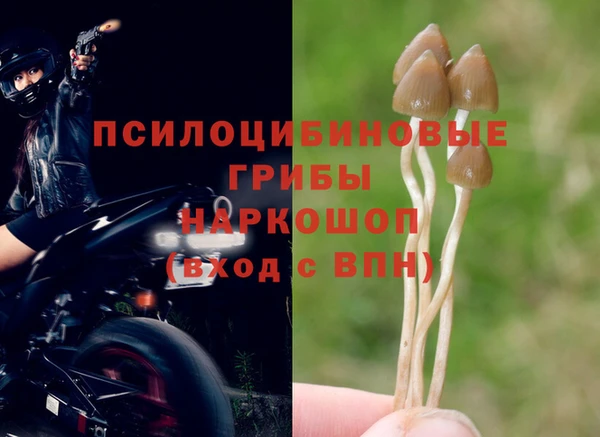 хмурый Алексеевка