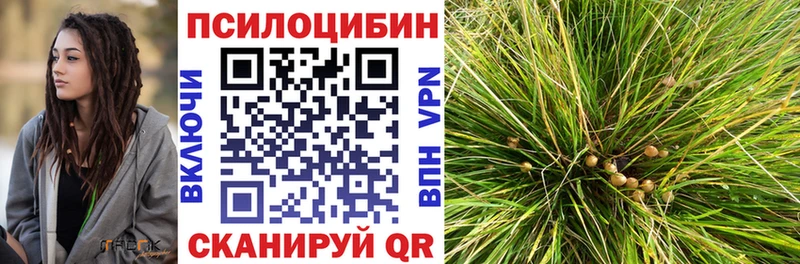 хочу наркоту  Камызяк  shop клад  Галлюциногенные грибы GOLDEN TEACHER 
