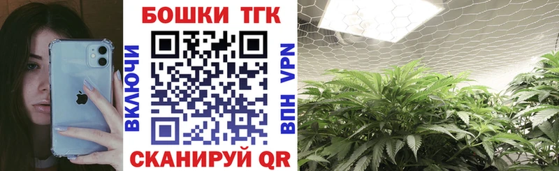 наркотики  Камызяк  Канабис тримм 